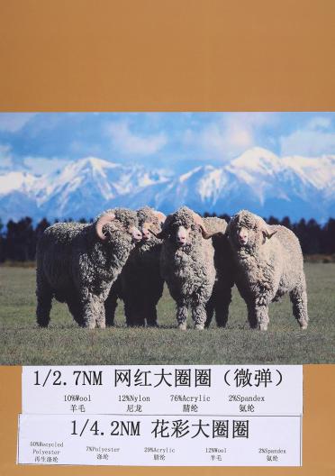 1/2.7NM網(wǎng)紅大圈圈