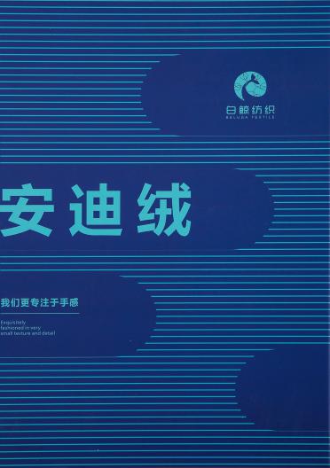 安迪絨