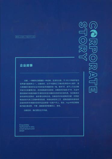安迪絨