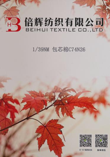 1/39NM 包芯棉