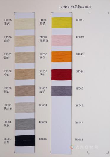 1/39NM 包芯棉