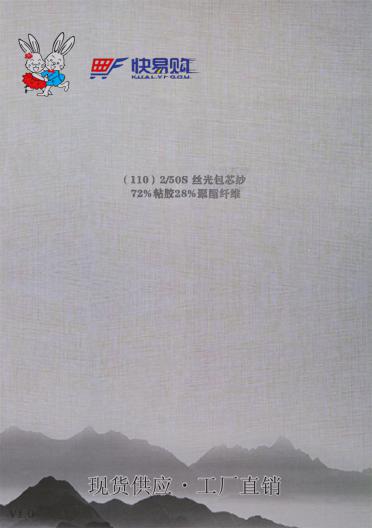 110) 2/50S絲光包芯紗