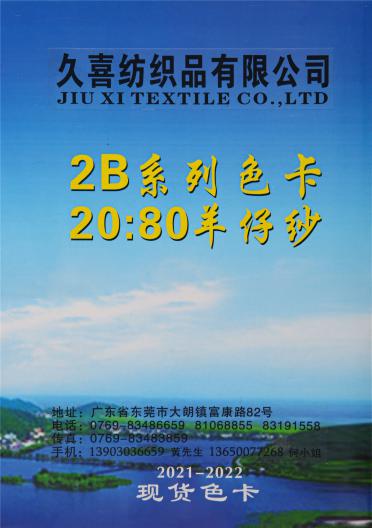 1/16NM 2B系列色卡 20:80羊仔紗