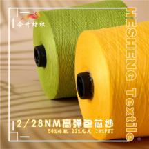 2/28NM 高彈包芯紗