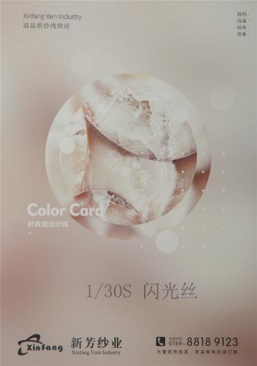 1/30S閃光絲