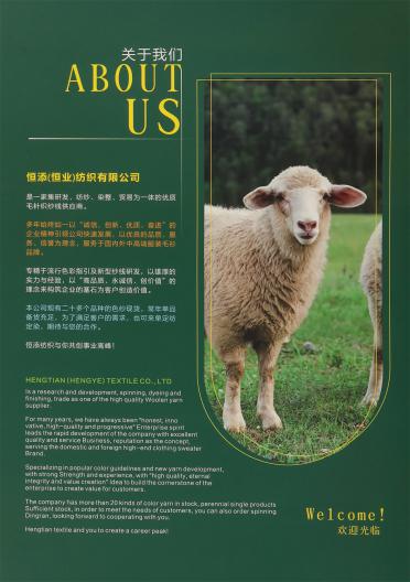 1/11NM 抗起球羊毛北極絨（磨毛紗）