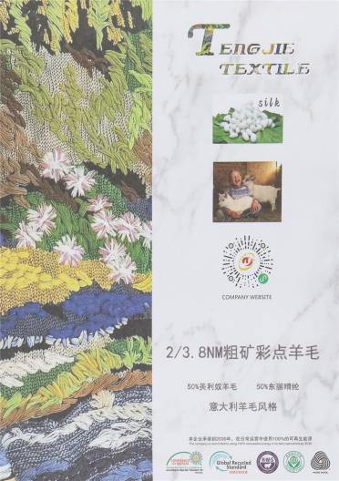 2/3.8NM粗礦彩點(diǎn)羊毛