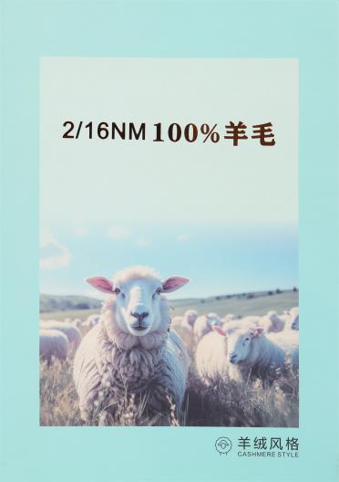 2/16NM 100%羊毛