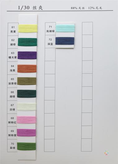 1/30 絲爽