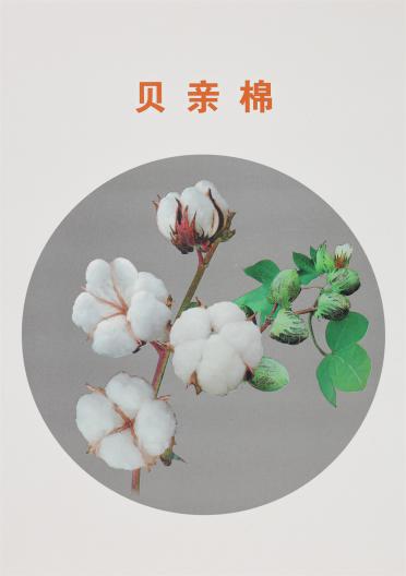 1/5.6NM 貝親棉