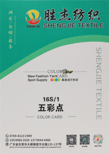 16S/1 五彩點