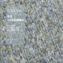 1/2.8Nm 花卷 AB花色圈圈紗