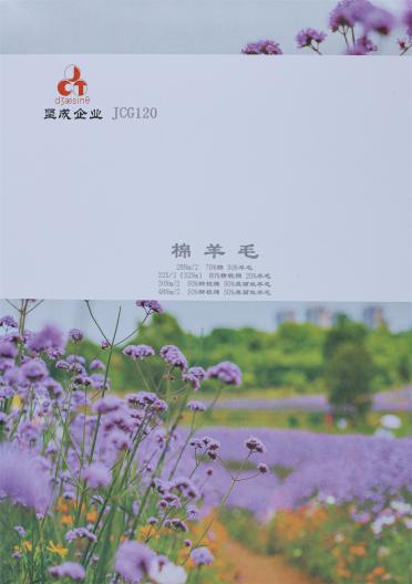 30Nm/2 50%棉 50%羊毛