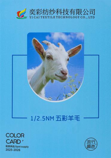 1/2.5NM 五彩羊毛