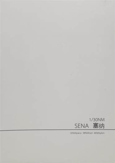 1/30NM 塞納