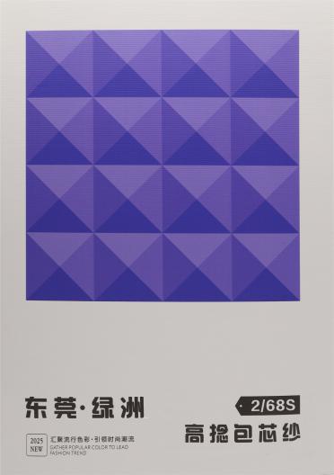 2/68S 高捻包芯紗