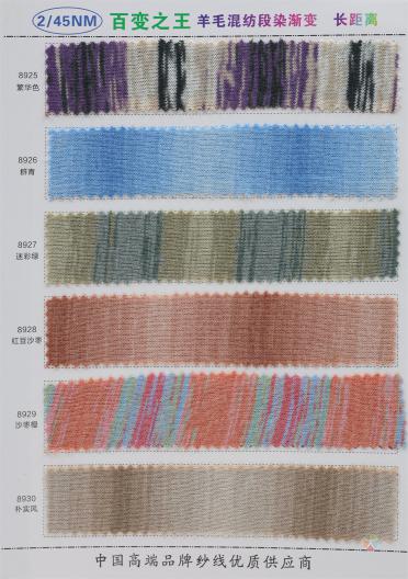 2/45NM 漸變段染長距離