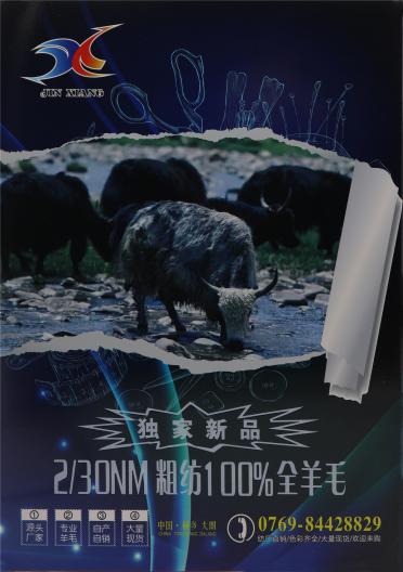 2/30NM 粗紡100%全羊毛