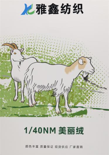1/40NM 美麗絨