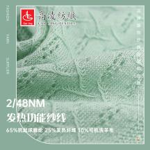 2/48NM 發(fā)熱功能紗線