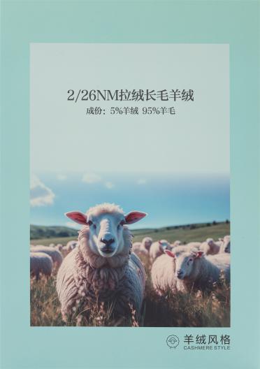 2/26NM 拉絨長毛羊絨