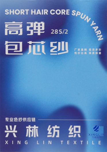 28S/2 高彈包芯紗