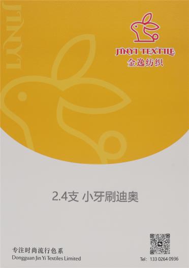 2.4支 小牙刷迪奧