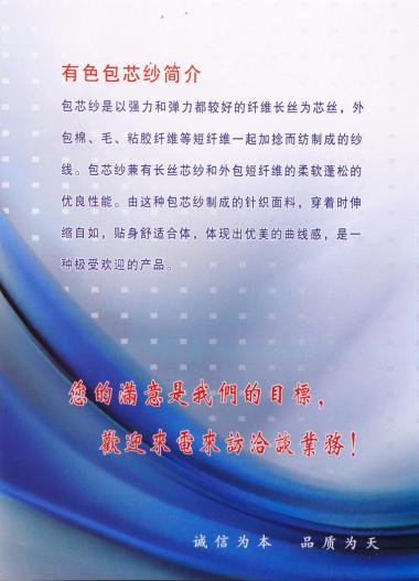 2/48NM有色包芯紗