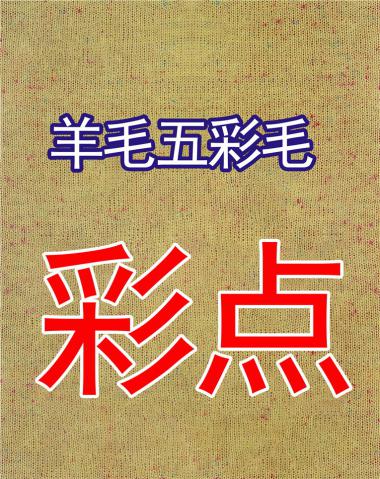 1/16羊毛五彩毛