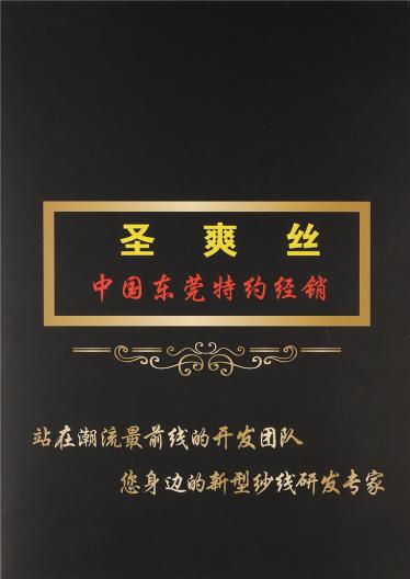 1/40NM圣爽絲
