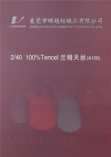 2/40 100%TENCEL 蘭精天絲