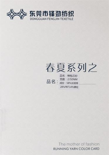 2/50NM棉包芯紗