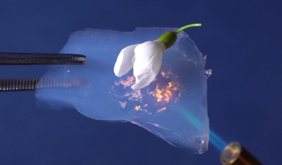 http://dldltg.com/upload/202203081022039891.png