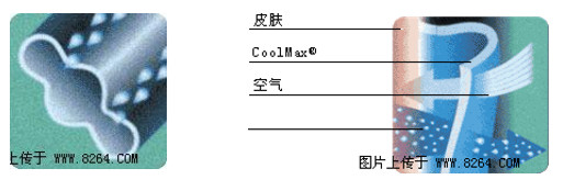 http://dldltg.com/upload/202205240953262679.png