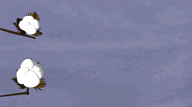 http://dldltg.com/upload/202210141006020715.gif