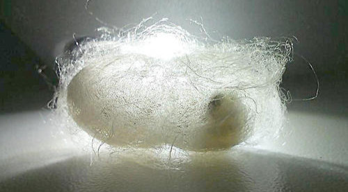 http://dldltg.com/upload/202211091005241759.png