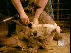 http://dldltg.com/upload/202212101131103239.gif
